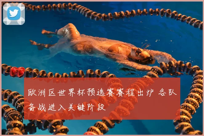 欧洲区世界杯预选赛赛程出炉 各队备战进入关键阶段
