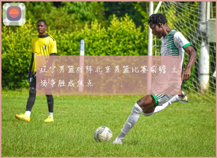 辽宁男篮对阵北京男篮比赛前瞻 主场争胜成焦点