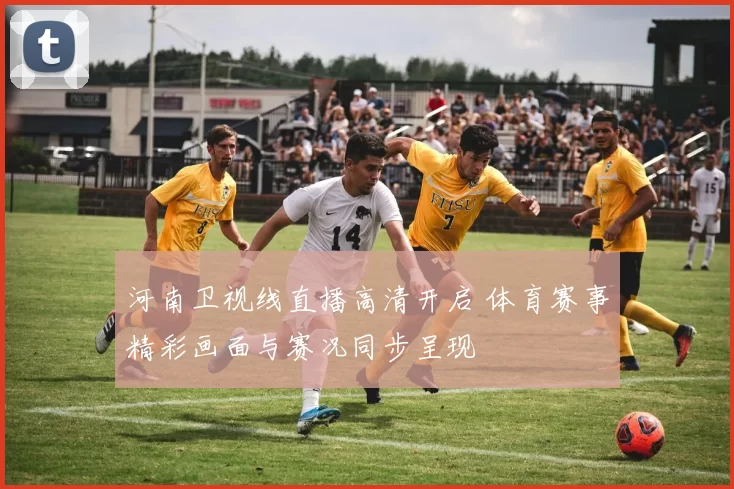 河南卫视线直播高清开启 体育赛事精彩画面与赛况同步呈现